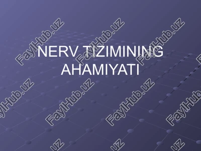 nerv tizimining ahamiyati — PPTX