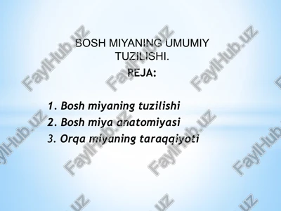 bosh miyaning umumiy tuzilishi — PPTX