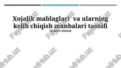 xojalik mablaglari va ularning kelib chiqish manbalari tasnifi — PPTX