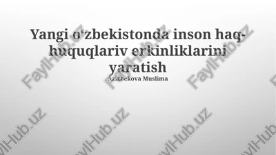 yangi oʻzbekistonda inson haq-huquqlariv erkinliklarini yaratish — PPTX