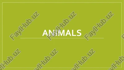 animals — PDF