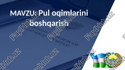 pul oqimlarini boshqarish — PPTX