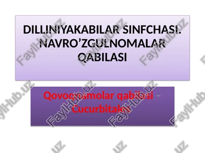 dilleniyakabilar sinfchasi — PPTX