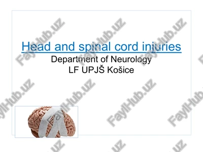 brain and spinal cord injuries — PPT