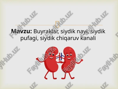 ayirish sistemasi — PPTX
