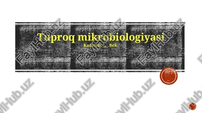 tuproq mikrobiologiyasi — PPTX