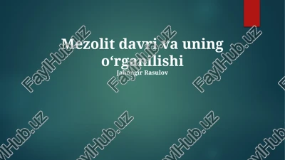 mezolit davri va uning oʻrganilishi — PPTX