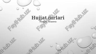 hujjat turlari — PPTX