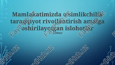 qishloq xo'jaligini rivojlantirish tashabbuslari — PPTX