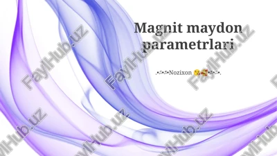 magnit maydon parametrlari — PPTX