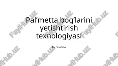 palʼmetta bogʻlarini yetishtirish texnologiyasi — PPTX