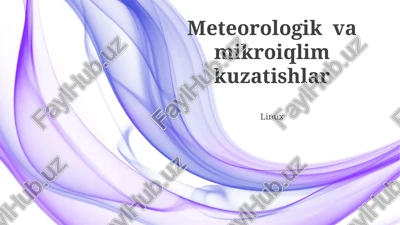 meteorologik va mikroiqlim kuzatishlar — PPTX
