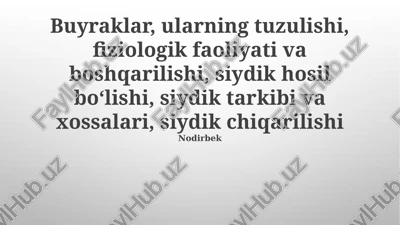 buyraklar tuzilishi, hosil bo'lishi va faoliyati — PPTX