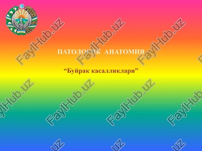 patologik anatomiya “buyrak kasalliklari” — PPTX