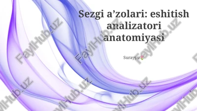sezgi a’zolari: eshitish analizatori anatomiyasi — PPTX