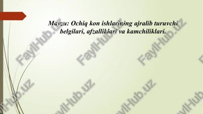 ochiq kon ishlarining ajralib turuvchi belgilari, afzalliklari va kamchiliklari — PPTX