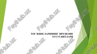 tog' jinslarining zichlilik xususiyatlari — PPTX