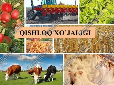 qishloq xo‘jaligi — PPTX