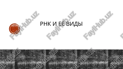 rnk — PPTX