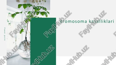 xromosoma kasalliklari — PPTX