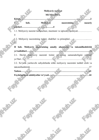 moliyaviy nazorat — DOCX