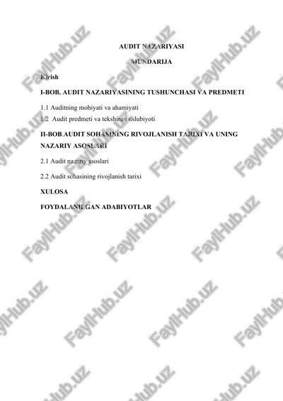 audit nazariyasi — DOC