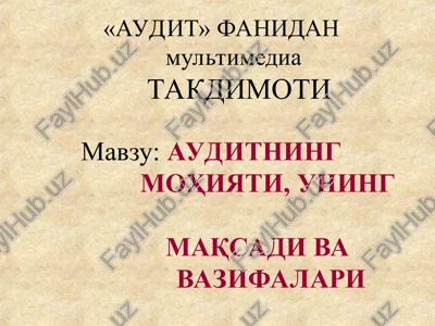 "audit" fanidanmultimedia — PPT