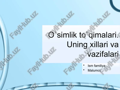 o`simlik to`qimalari. uning xillari va vazifalari — PPTX