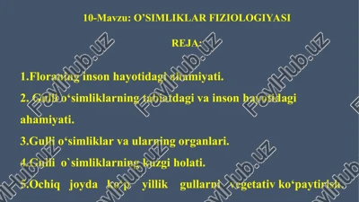 o'simliklar fiziologiyasi — PPT