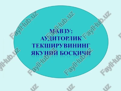 auditorlik tekshijuvlar natijalari — PPT