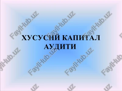 xususiy kapital auditi — PPT
