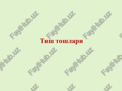 tishlar — PPT
