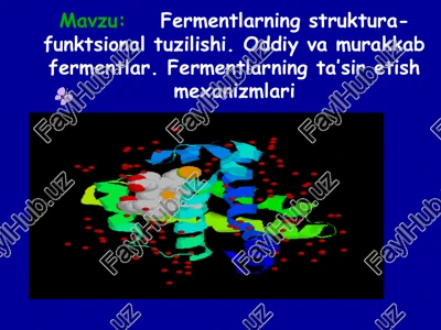 fermentlar — PPT