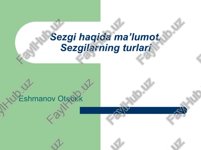 sezgilar — PPT
