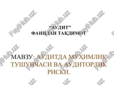 "audit" — PPT