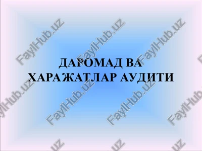 daromad va xarajatlar auditi — PPT