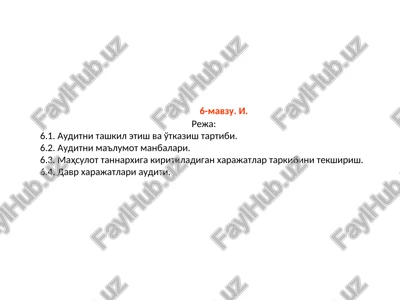 auditni tashkil etish va o'tkazish tartibi — PPT
