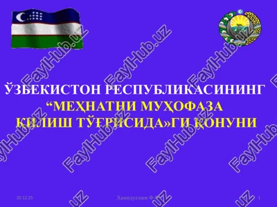 mehnatni muhofaza qilish — PPT
