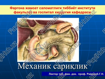 mexanik sariqlik — PPT