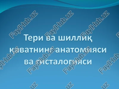 teri-inson tanasini qoplab turuvchi a'zo — PPT
