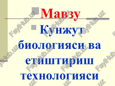 kunjut biologiyasi va etishtirish texnologiyasi — PPT