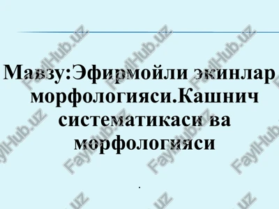 efirmoyli ekinlar morfologiyasi.kashnich sistematikasi va morfologiyasi — PPT