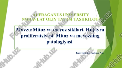 mitoz va meyoz sikllari — PPTX