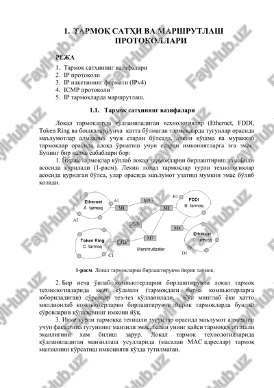 tarmoq sathi va marshrutlash protokollari — DOCX