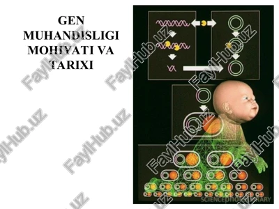 gen muhandisligi mohiyati va tarixi — PPT