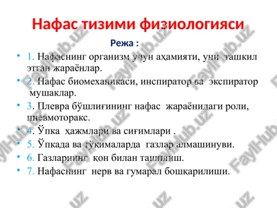 nafas tizimi fiziologiyasi — PPTX