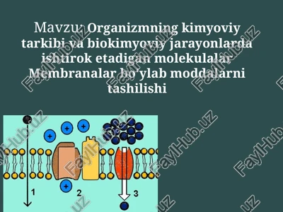 organizmning kimyoviy tarkibi va biokimyoviy jarayonlari — PPTX