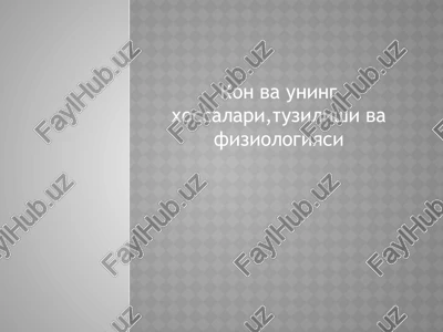 qonning vazifalari, oziqlantirish va fiziologiyasi — PPTX