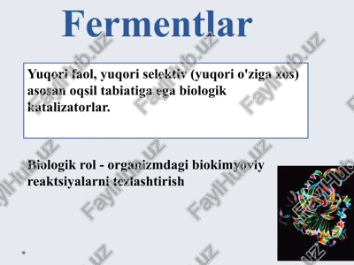fermentlar — PPTX