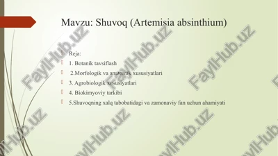shuvoq (artemisia absinthium) — PPTX